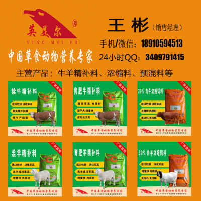 育肥牛饲料配方与浓缩料使用指南 让你的牛长得又快又好
